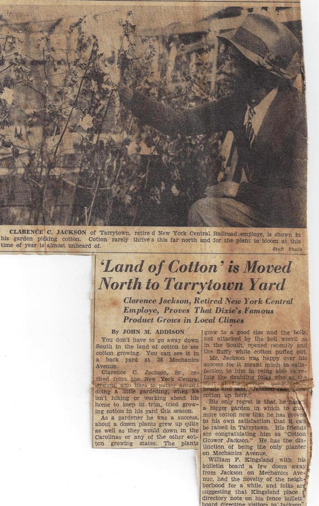 December 5, 1941,  The Daily News, Tarrytown, NY